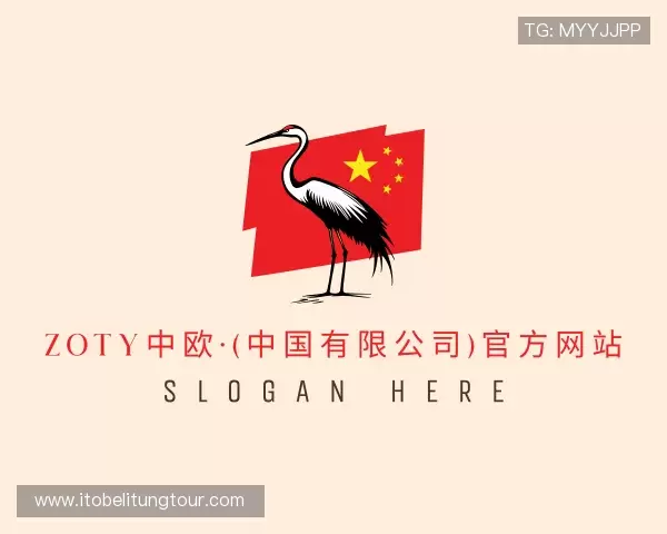 介绍zoty中欧体育